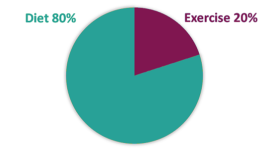 Graphic showing diet plays a larger role than exercise in body composition